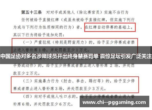 中国足协对多名涉赌球员开出终身禁赛罚单 震惊足坛引发广泛关注
